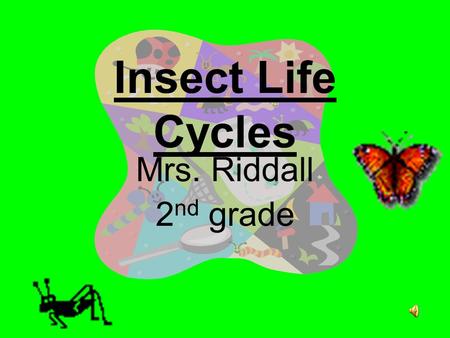Insect Life Cycles Mrs. Riddall 2 nd grade How do insects grow and change? Life cycle stages Complete/Incomplete Metamorphosis.