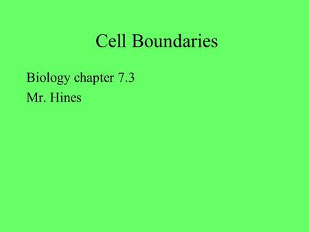 Cell Boundaries Biology chapter 7.3 Mr. Hines.