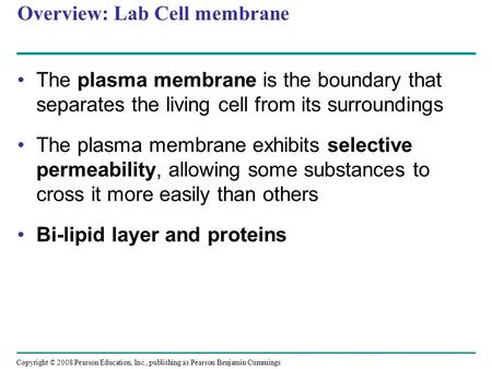 Overview: Lab Cell membrane The plasma membrane is the boundary that separates the living cell from its surroundings The plasma membrane exhibits selective.