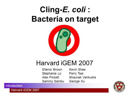 Harvard iGEM 2007 Introduction Cling-E. coli : Bacteria on target Harvard iGEM 2007 Ellenor Brown Stephanie Lo Alex Pickett Sammy Sambu Kevin Shee Perry.