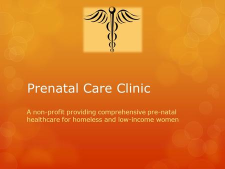 Prenatal Care Clinic A non-profit providing comprehensive pre-natal healthcare for homeless and low-income women.