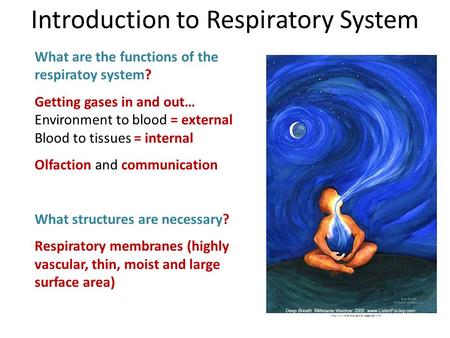 An introduction to respiratory gases