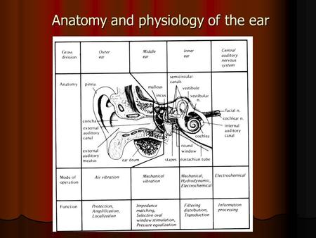 Anatomy and physiology of the ear. External ear Pinna (auricle) & External auditory meatus Pinna (auricle) & External auditory meatus Function: Localization.