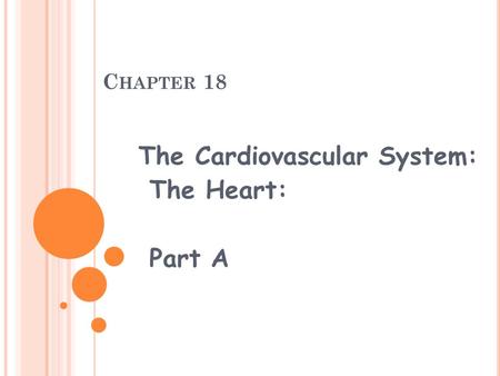 The Cardiovascular System: The Heart: Part A