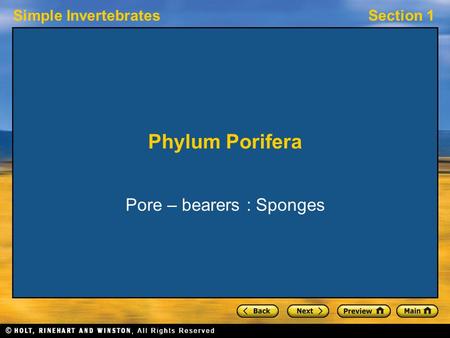 Simple InvertebratesSection 1 Phylum Porifera Pore – bearers : Sponges.