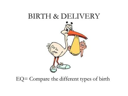 BIRTH & DELIVERY EQ= Compare the different types of birth.