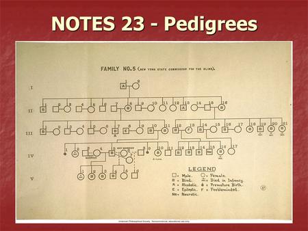 NOTES 23 - Pedigrees. What is a pedigree? Pedigree – A picture of an individual’s family tree that shows which members of the family have a particular.