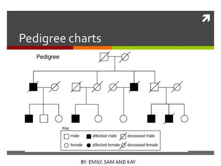  Pedigree charts BY: EMILY, SAM AND KAY. Definition  Pedigree charts plot the generations of a family and can be used to trace a genetic disease.