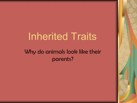 Inherited Traits Why do animals look like their parents?