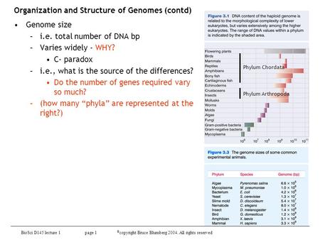 BioSci D145 lecture 1 page 1 © copyright Bruce Blumberg 2004. All rights reserved Organization and Structure of Genomes (contd) Genome size –i.e. total.