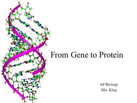 From Gene to Protein AP Biology Mrs. King The Connection between Genes and Proteins The study of metabolic defects provided evidence that genes specify.