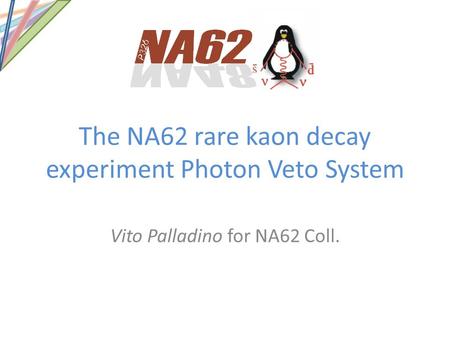The NA62 rare kaon decay experiment Photon Veto System Vito Palladino for NA62 Coll.