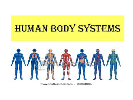 HUMAN BODY SYSTEMS. ECSD Biology EOC Review  fl.schoolloop.com/BiologyEOCReview  fl.schoolloop.com/BiologyEOCReview.