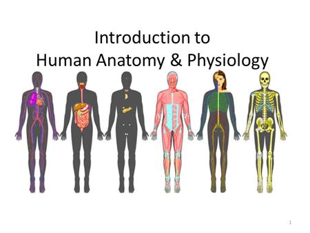 Introduction to Human Anatomy & Physiology 1. Anatomy & Physiology defined Anatomy is the study of the structure of body parts and their relationships.
