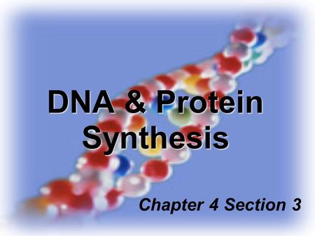 DNA & Protein Synthesis Chapter 4 Section 3. Vocabulary 1. DNA 2. nucleotide 3. nitrogen bases 4. base pairing 5. double helix 6. DNA replication 7. gene.