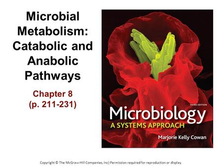Microbial Metabolism: Catabolic and Anabolic Pathways
