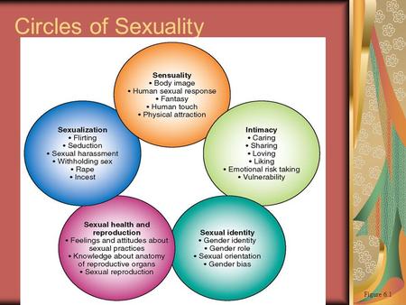 Circles of Sexuality Figure 6.1.