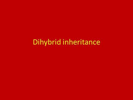 Dihybrid inheritance. What is dihybrid inheritance? The study of genetic crosses involving two characteristics or two genes is called dihybrid inheritance.