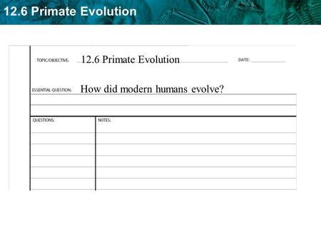 12.6 Primate Evolution How did modern humans evolve?