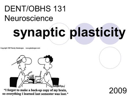 Synaptic plasticity DENT/OBHS 131 Neuroscience 2009.