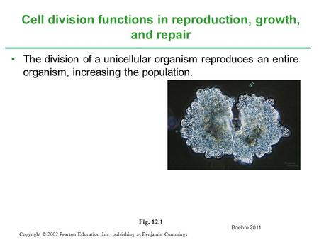 The division of a unicellular organism reproduces an entire organism, increasing the population. Cell division functions in reproduction, growth, and repair.