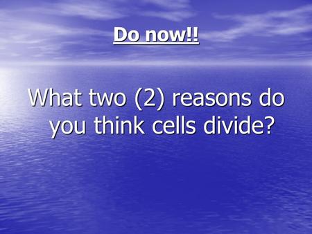 Do now!! What two (2) reasons do you think cells divide?