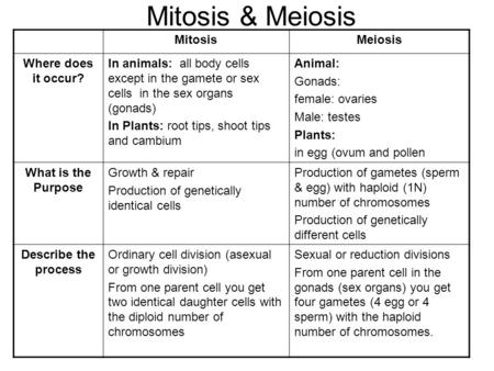 Mitosis & Meiosis Mitosis Meiosis Where does it occur?