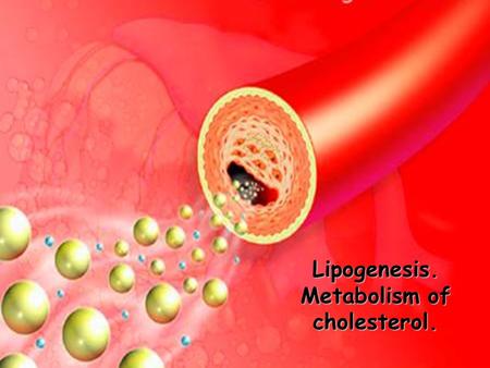Lipogenesis. Metabolism of cholesterol.