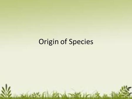 Origin of Species. Origins of Species 3-25-15 Key Question: What role do mutations play in natural selection? Initial Thoughts: