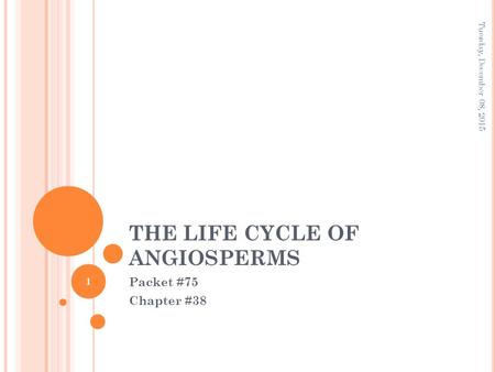 THE LIFE CYCLE OF ANGIOSPERMS Packet #75 Chapter #38 Tuesday, December 08, 2015 1.