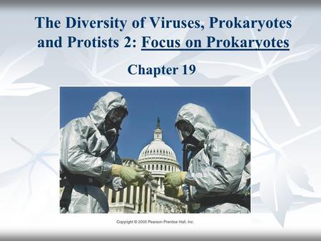 The Diversity of Viruses, Prokaryotes and Protists 2: Focus on Prokaryotes Chapter 19.