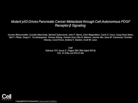 Mutant p53 Drives Pancreatic Cancer Metastasis through Cell-Autonomous PDGF Receptor β Signaling Susann Weissmueller, Eusebio Manchado, Michael Saborowski,