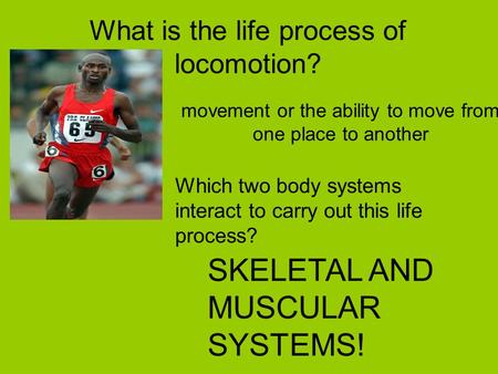What is the life process of locomotion? movement or the ability to move from one place to another Which two body systems interact to carry out this life.