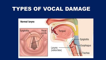 TYPES OF VOCAL DAMAGE. When the vocal folds are at rest, they are open Healthy vocal folds & Laryngitis Like other tissues of the body, vocal tissues.