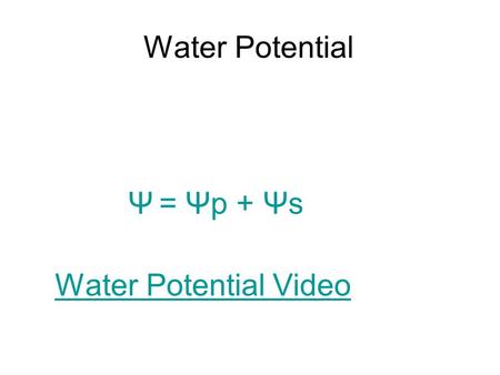 Water Potential Ψ = Ψp + Ψs Water Potential Video.
