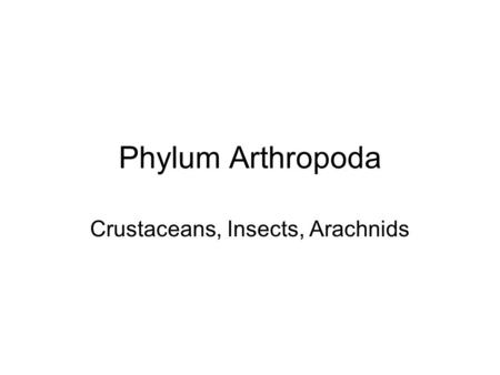Phylum Arthropoda Crustaceans, Insects, Arachnids.