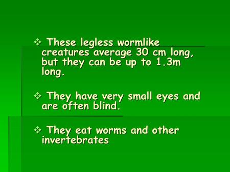 They have very small eyes and are often blind.