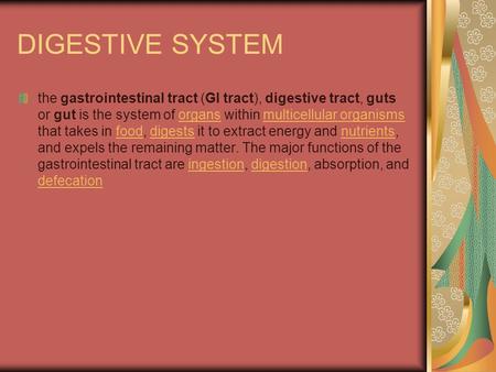 DIGESTIVE SYSTEM the gastrointestinal tract (GI tract), digestive tract, guts or gut is the system of organs within multicellular organisms that takes.
