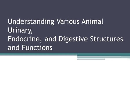 Understanding Various Animal Urinary, Endocrine, and Digestive Structures and Functions.