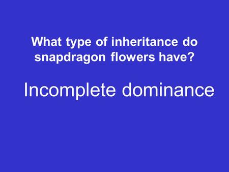 What type of inheritance do snapdragon flowers have? Incomplete dominance.