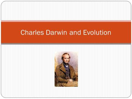 Charles Darwin and Evolution. Early Years Nature studies Beetle collection Catalogued pigeon breeds Didn’t complete medical school Trained as a minister.