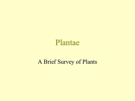 Plantae A Brief Survey of Plants. The study of plants is called botany. Plants are believed to have evolved from green algae. The main plant (land) characteristics.