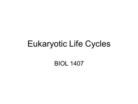 Eukaryotic Life Cycles BIOL 1407. Life Cycles Asexual Reproduction Sexual Reproduction –Gametic meiosis –Zygotic meiosis –Alternation of Generations.