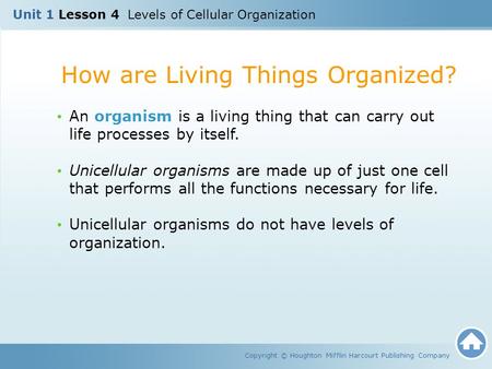 How are Living Things Organized? Copyright © Houghton Mifflin Harcourt Publishing Company An organism is a living thing that can carry out life processes.