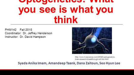 Optogenetics: What you see is what you think