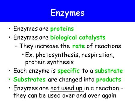 Enzymes Enzymes are proteins Enzymes are biological catalysts