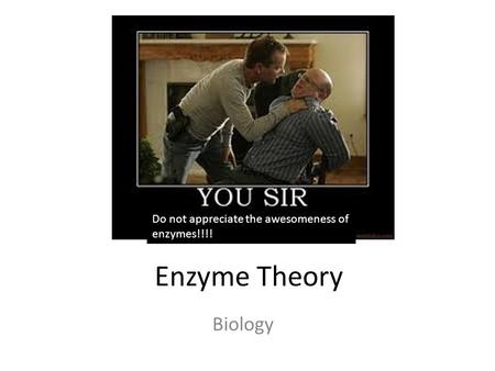 Enzyme Theory Biology Do not appreciate the awesomeness of enzymes!!!!