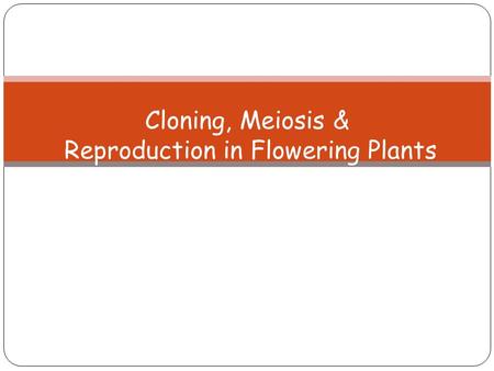 Cloning, Meiosis & Reproduction in Flowering Plants.