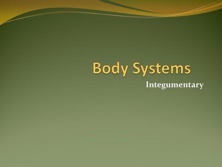 Body Systems Integumentary.