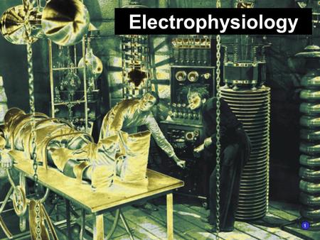 Electrophysiology 1.